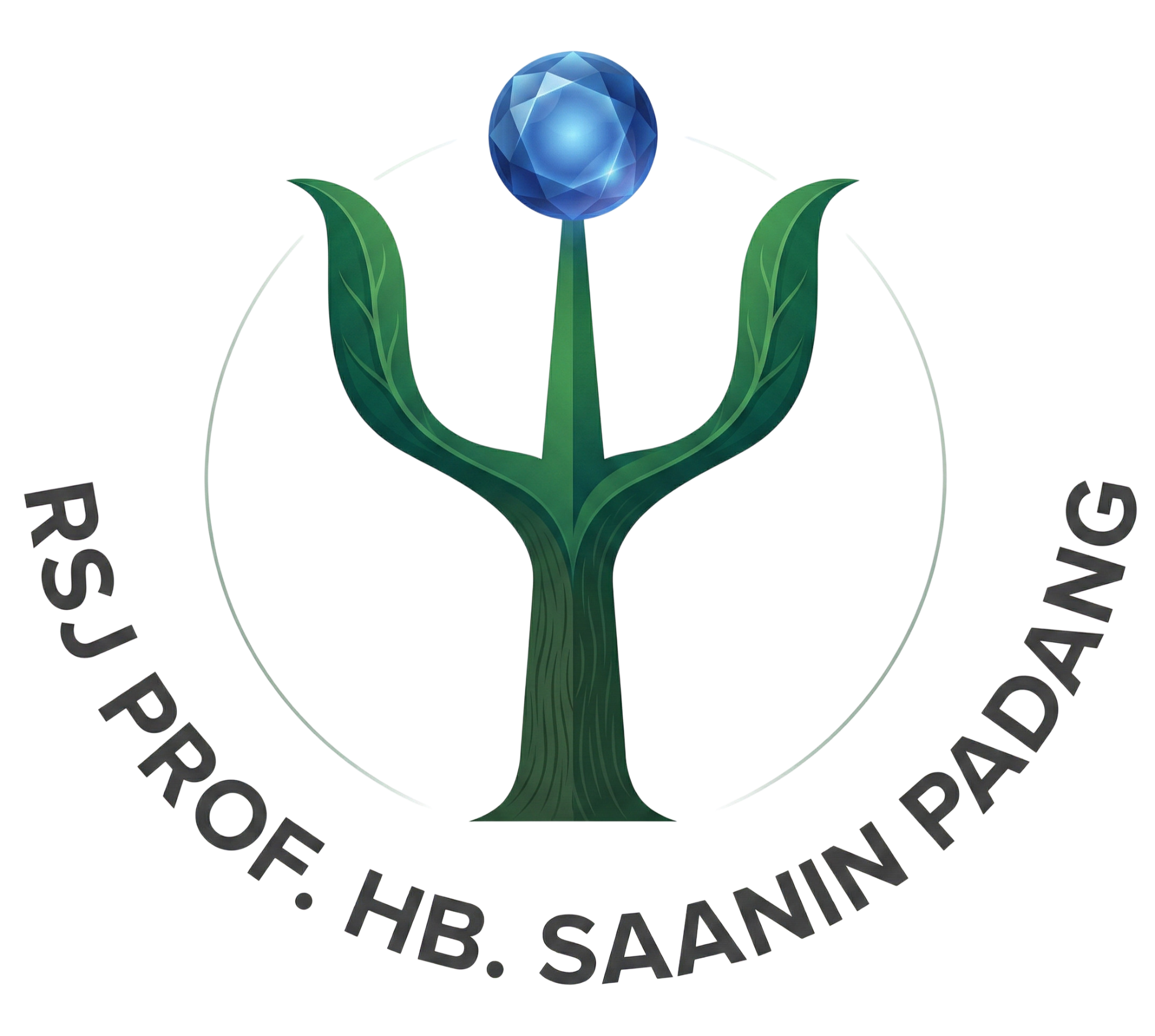 Logo RSJ